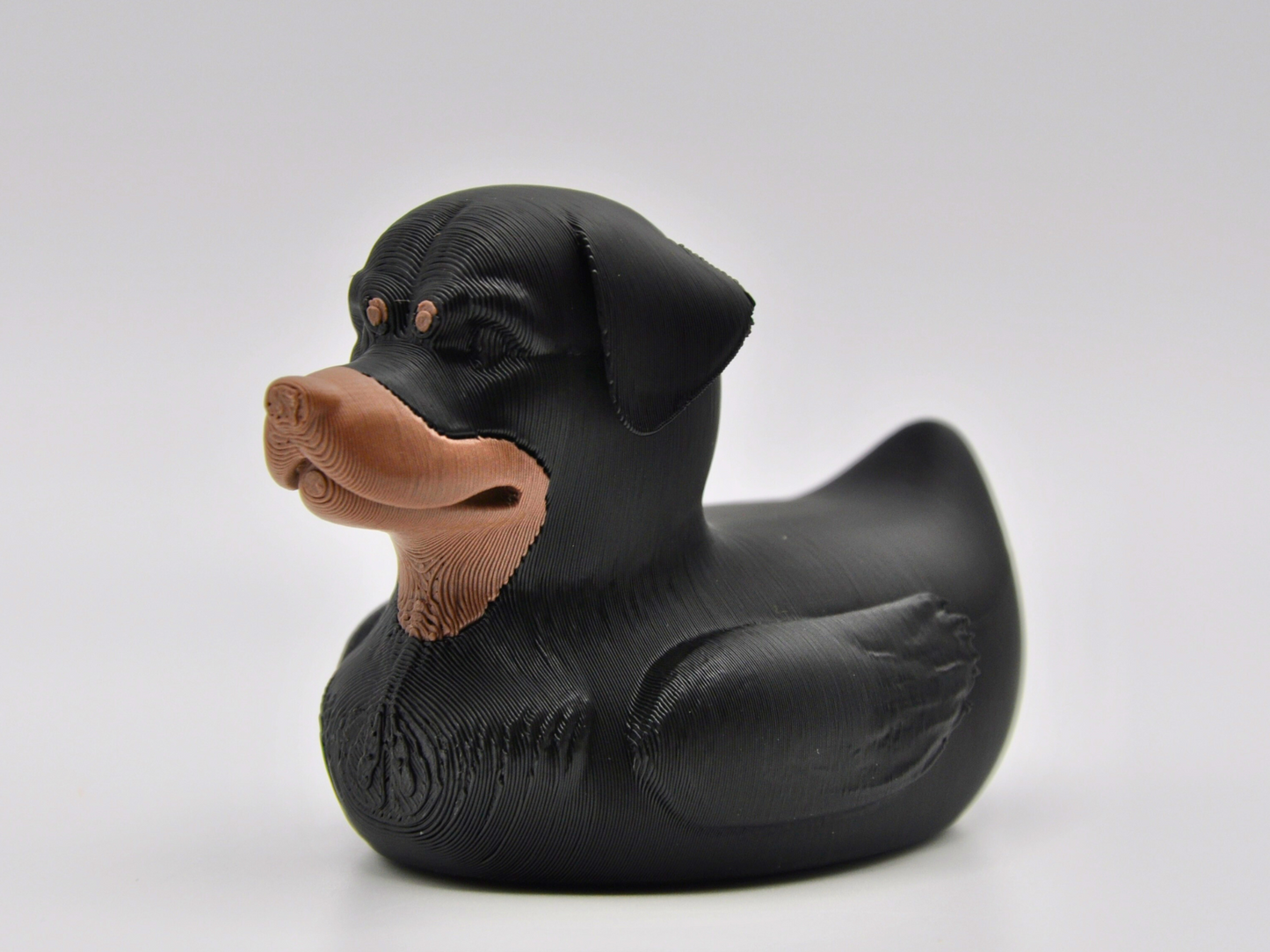 Rottweiler Duck