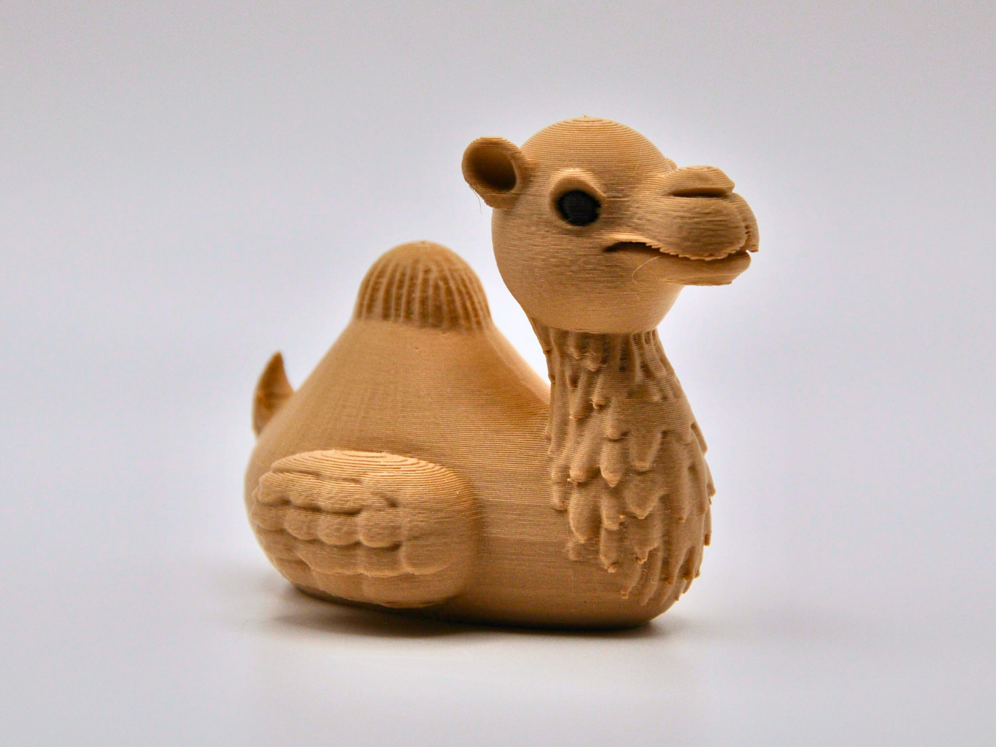 Camel Duck