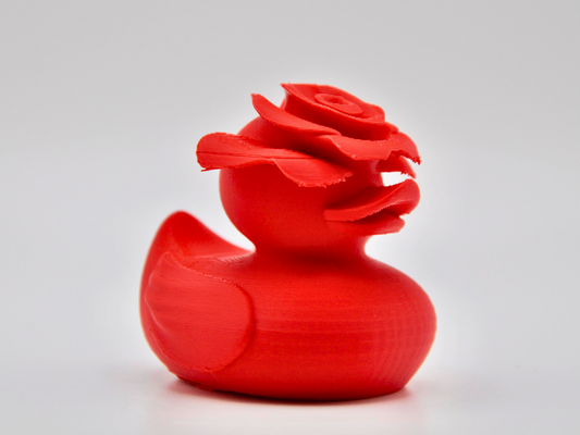 Rose Duck