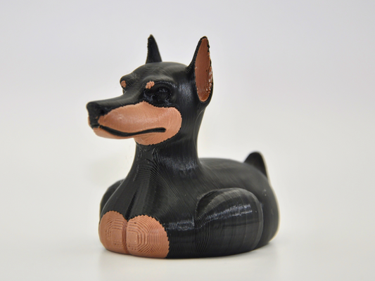 Doberman Duck