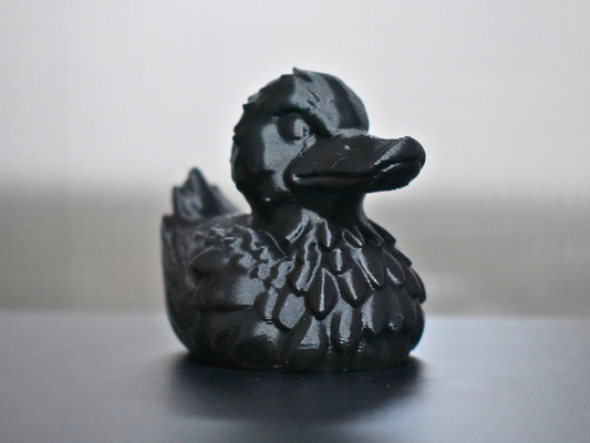 Raven Duck