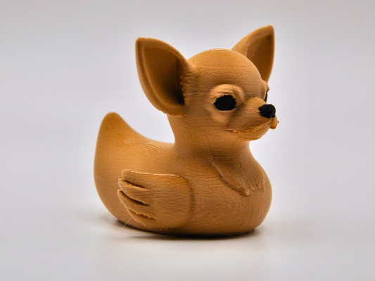 Chihuahua Duck